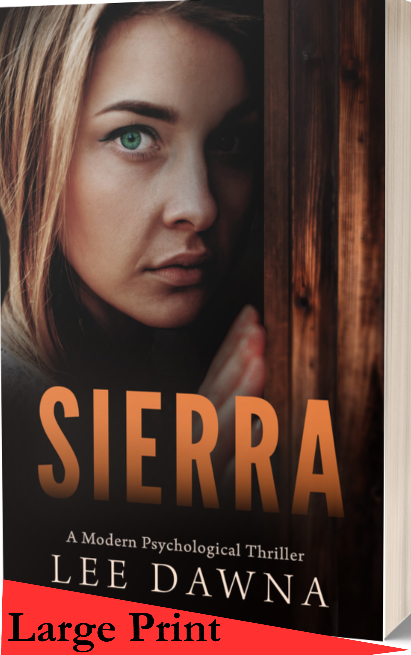 Sierra - A modern psychological thriller